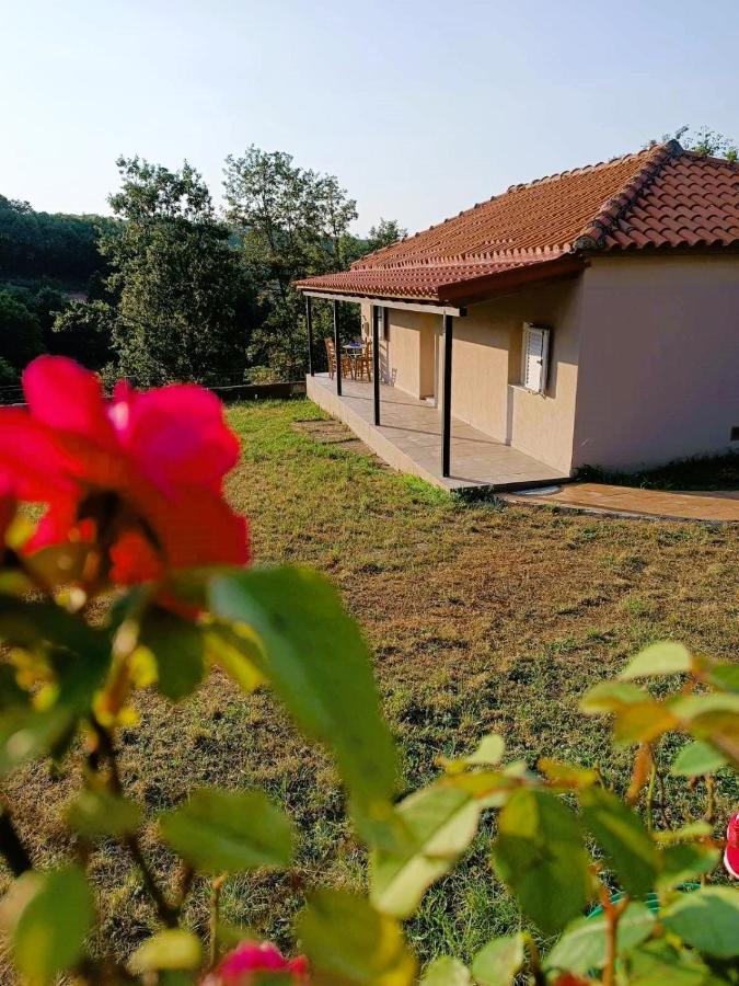 Billy'S House Villa Kalambaka Bagian luar foto